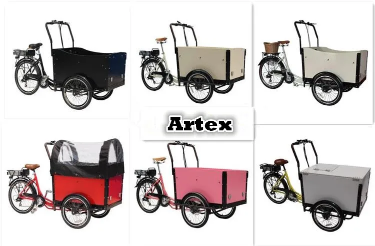 Красивый дизайн 2 колеса Электрический грузовой трехколесный велосипед для переноски детей