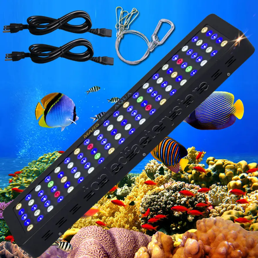 aquariam lights aquariam lights