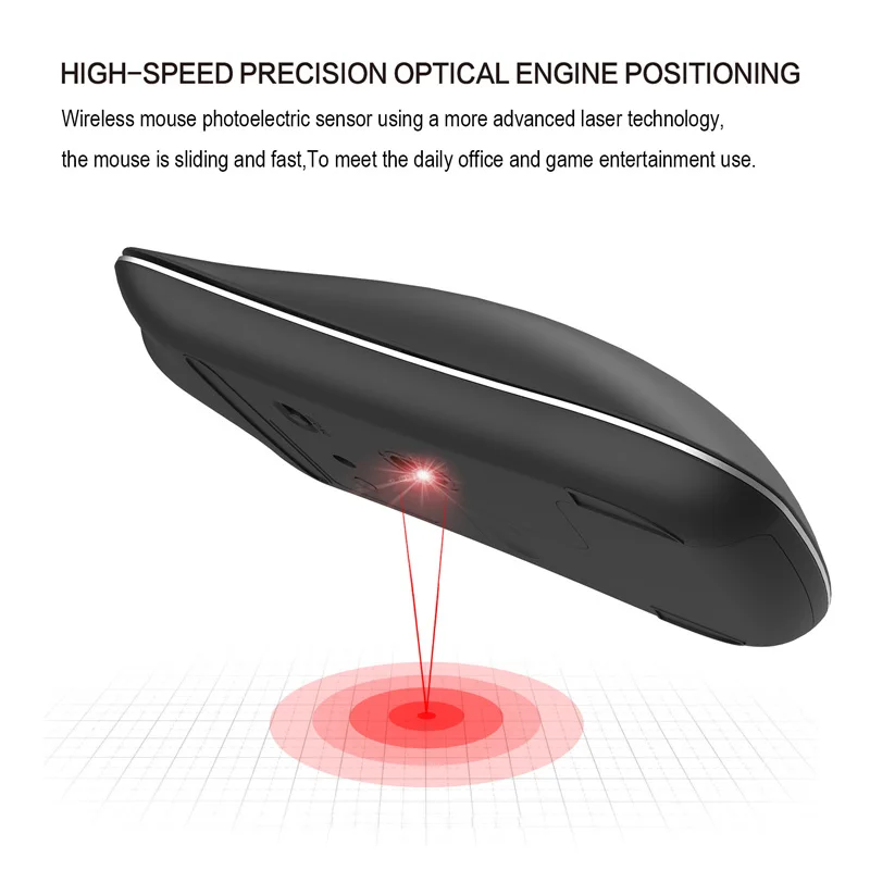 16 Due model mouse