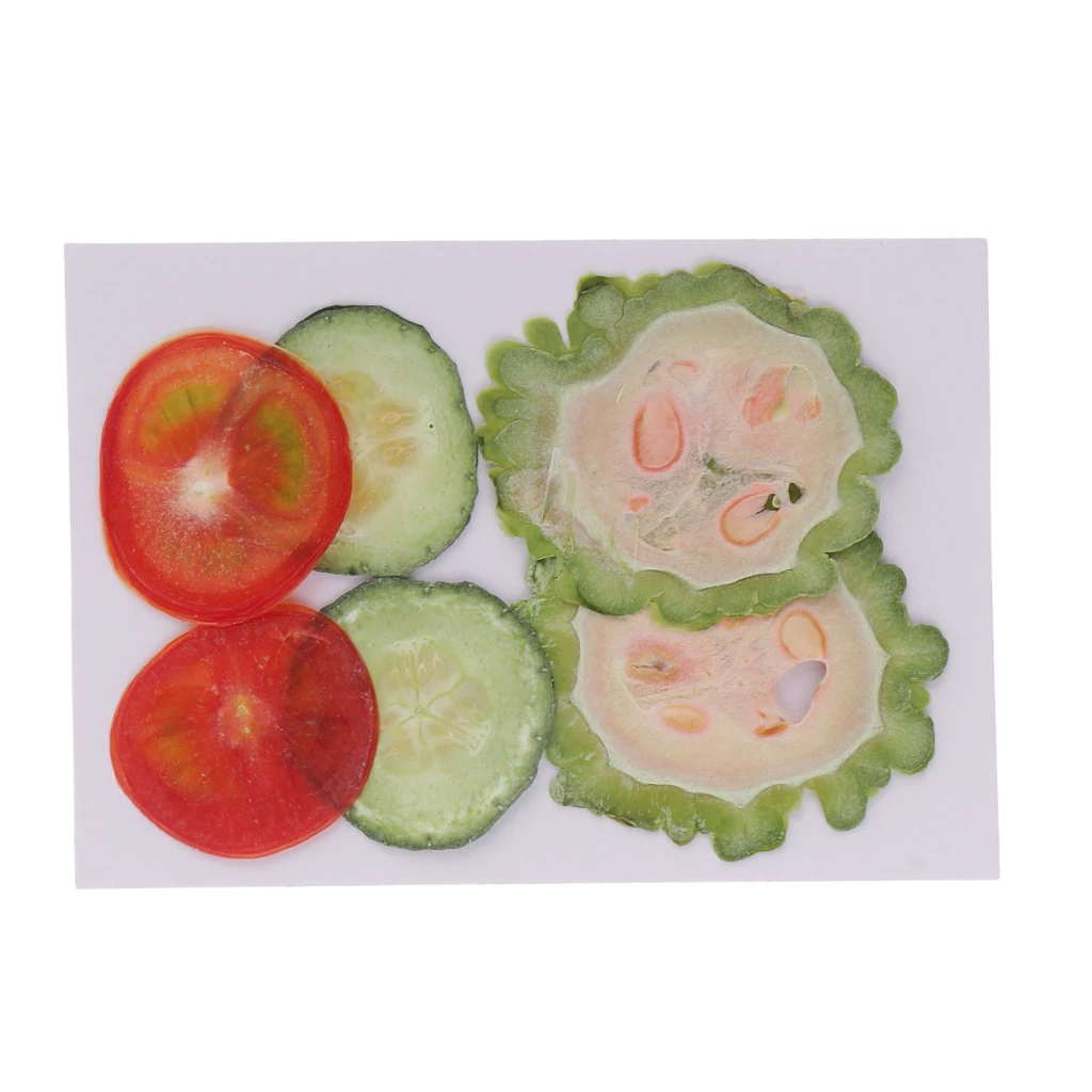 

6 PRESSED SLICES Dried Fruit - CHRISTMAS CRAFT WREATH FLORIST DECORATION DIY