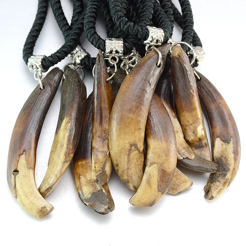 Boar tusk necklace hi-res stock photography and images - Alamy