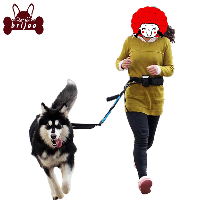 Hand Free Dog Waist Belt and Leash Set Pet Dog Puppy Leads Walking Running Jogging Freedom Dog Adjustable Retractable Leads