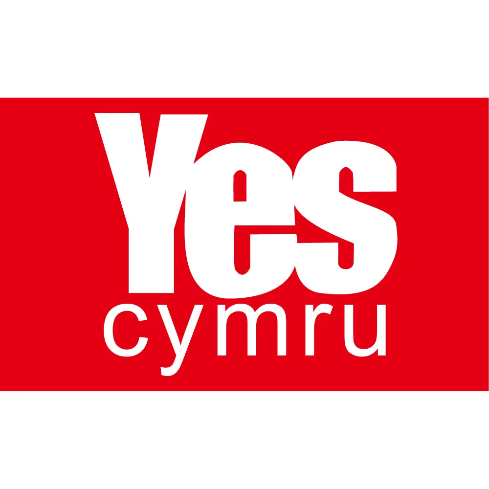 90*150cm 60*90cm Polyester YES Cymru Flag 3X5FT 90x150cm For Home Office Party Bar Banner