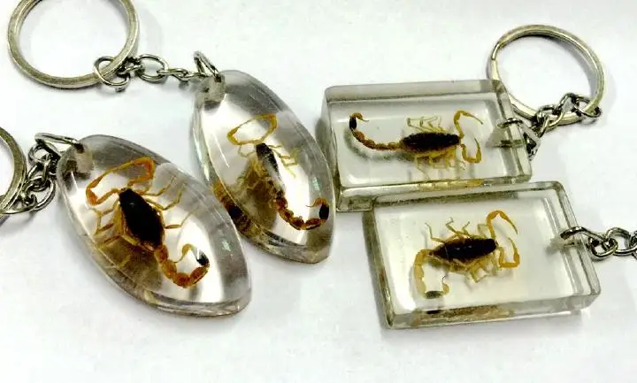 

FREE SHIPPING 4 keychain real fashion golden scorpion vogue style lucid jewelry