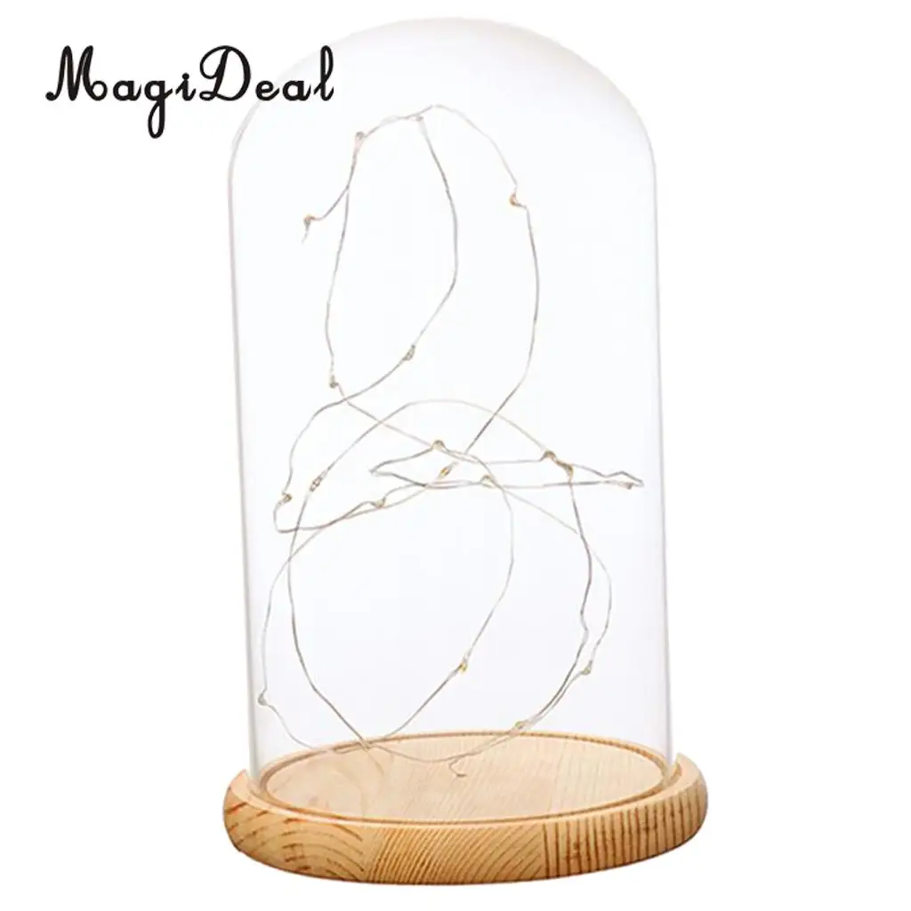 Glass Display Dome Cloche With Suspended LED Lights Tabletop Lamp Wedding Holiday Decor Crafts