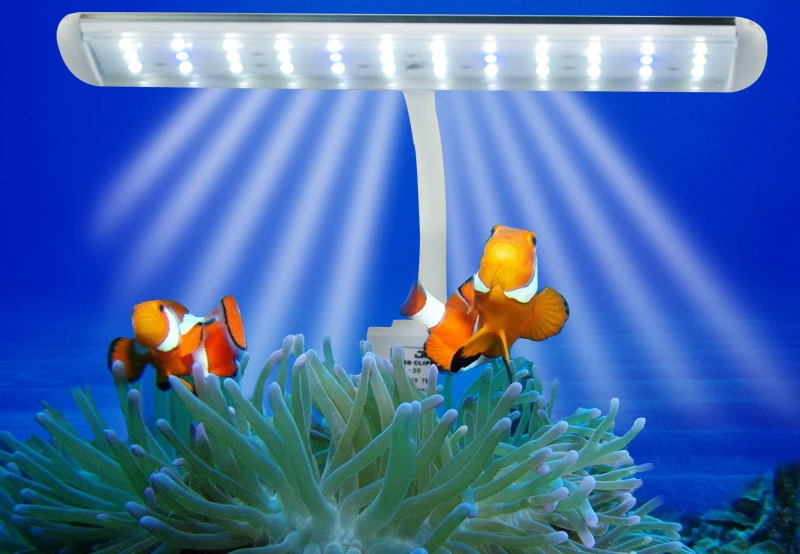 

Fine state high-grade aluminum LED clip lights for a variety of sizes open aquarium lights coral lamp lighting plants