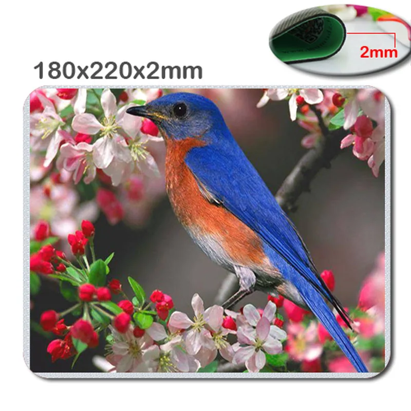 

Beautiful bird wallpaper Gaming Gamer Mice Mause Mouse Pad New Rubber Pad220x180x2mm Cool Non-slip and Durable Mouse Pad
