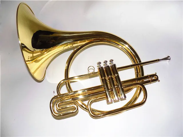 Cheap Bb Pistons French Horn Brass Body Lacquer Finish With ABS case Musical instrument Shipping time 8-13 days 
