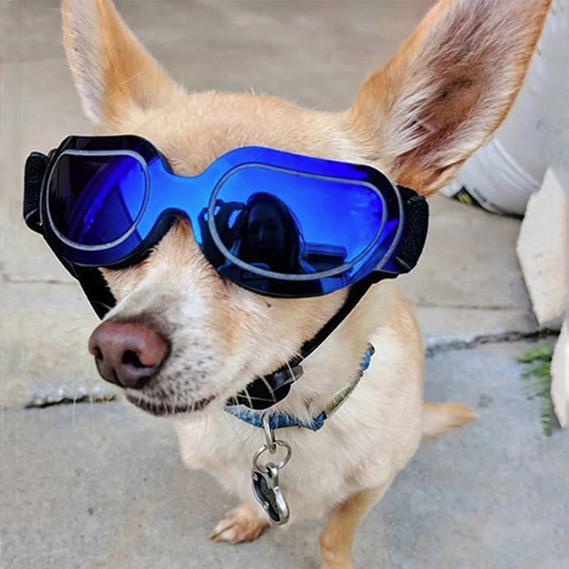 DRESSPET Pet Dog Sunglasses Eye-protect Accessories High Quality Sport Glasses Outdoor adjustable size for small large | Дом и сад