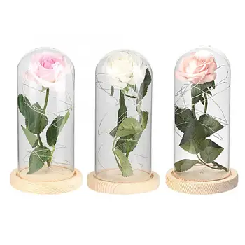 

Rose Flower LED Lamp Night Light Romantic Wedding Birthday Party Home Decoration