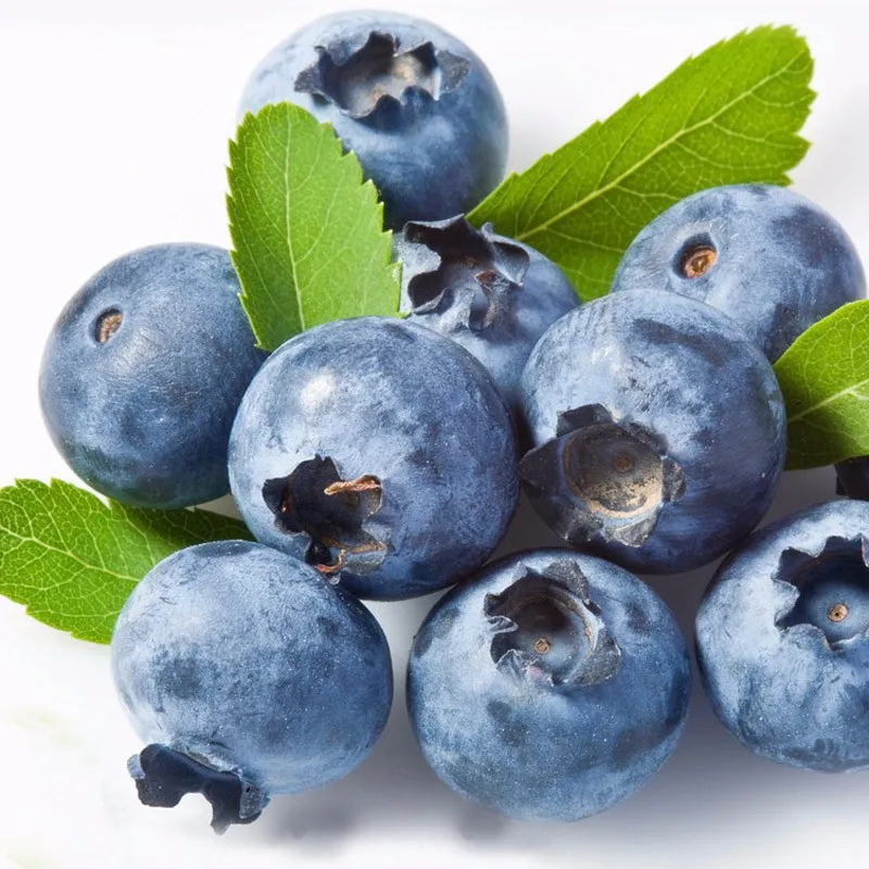 100Pcs Blueberry Tree Seed Fruit Blueberry Seed Potted Bonsai Seeds Plant HOT**