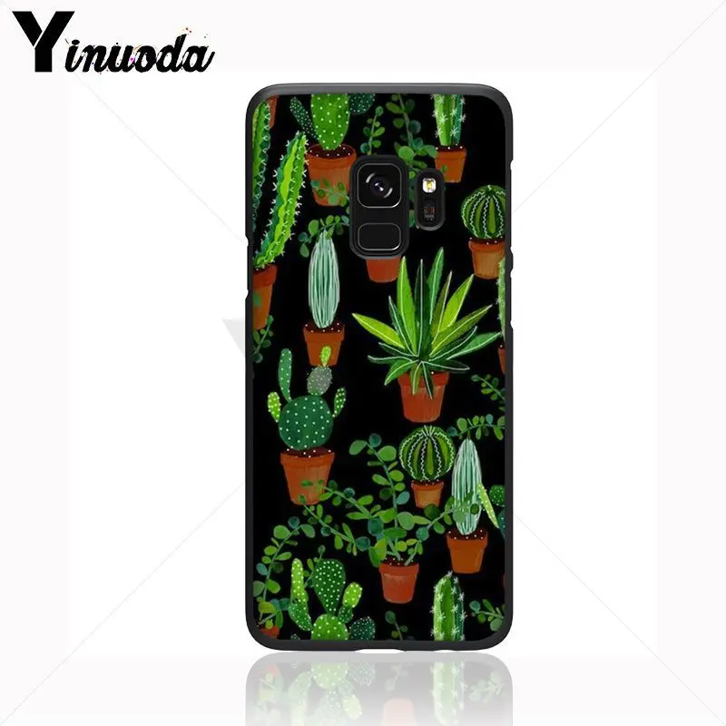 green cactus plant