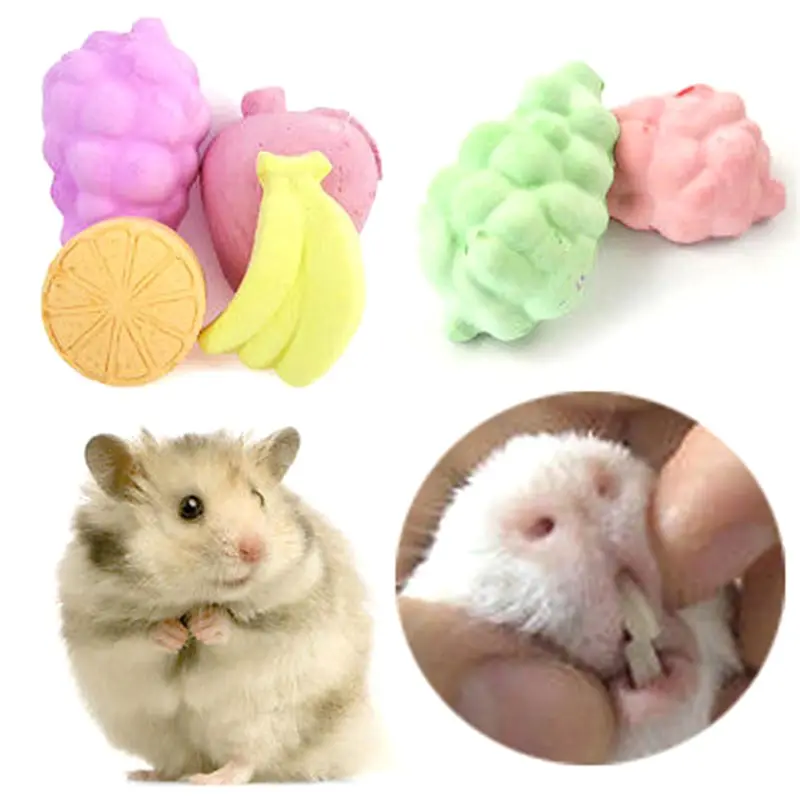 5pcs Pet Molar Stone Small Pet Animal Fruit Shape Minerals Molar Stone