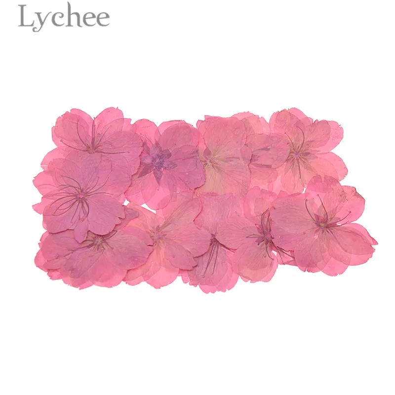 Buy Lychee Pressed Dried Sakura Flower Natural Cherry
