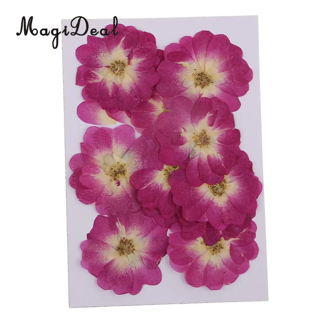 12 Pieces Chinese Rose Pressed Natural Dried Flower for DIY Resin Ornament Candle Making Decoration Purple 3-4cm