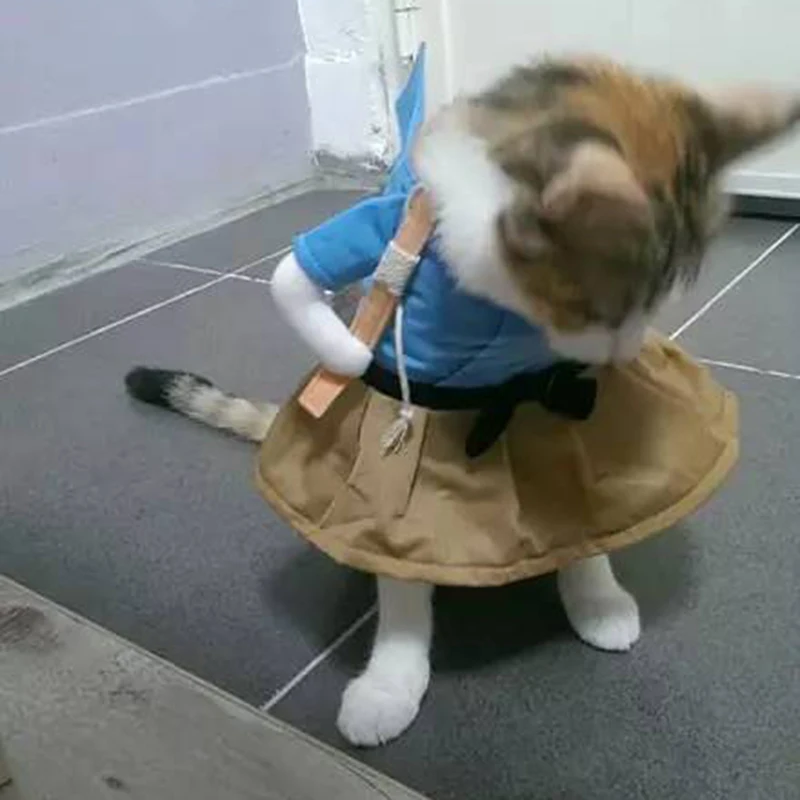 Pet костюм для кошки собаки одежда смешное платье до вечерние партии интересный