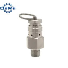 SS304 1/"-1/2" NPT мини воздушный клапан из нержавеющей стали с резьбой клапан давления