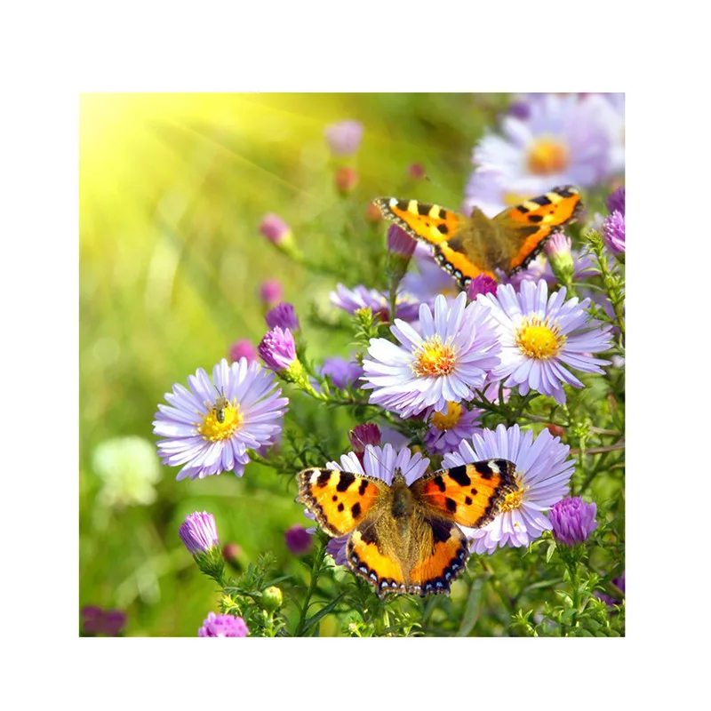 

5D DIY Butterfly and Chrysanthemum Pattern Diamond Painting Cube Diamonds Embroidery Landscapes Decoration 30*30cm