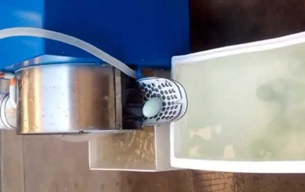 Высокая Эффективность автоматическая курица утка гусь перепелиная стиральная машина для яиц оборудование для очистки яиц