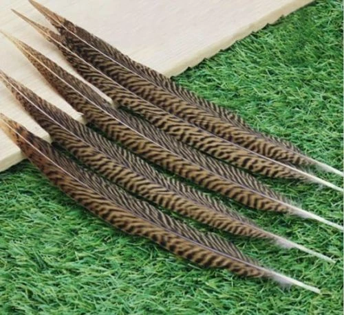 Wholesale 10-100PCS 4-28inches Beautiful Natural Golden Pheasant Tail Feathers