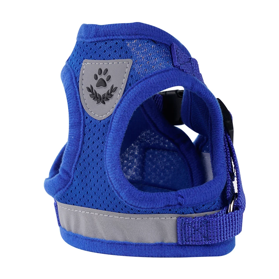 dog leash