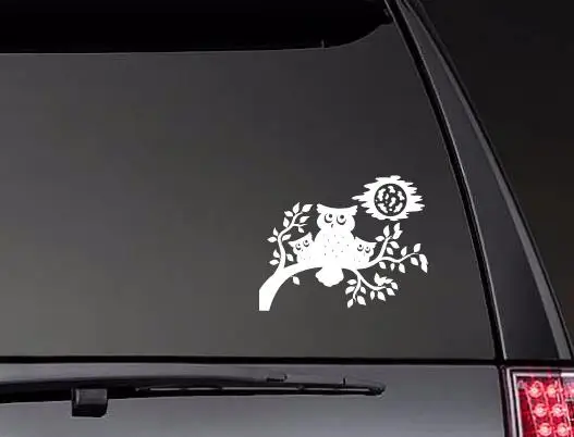 

Виниловая наклейка на окно в виде совы и птицы, художественный Рисунок, художественные переводки для кузова автомобиля, художественный Декор ZP0525