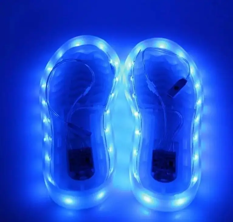 

DZ T USB charging 60CM 3V led shoe strip lights LED colorful lamp lights for party show performance