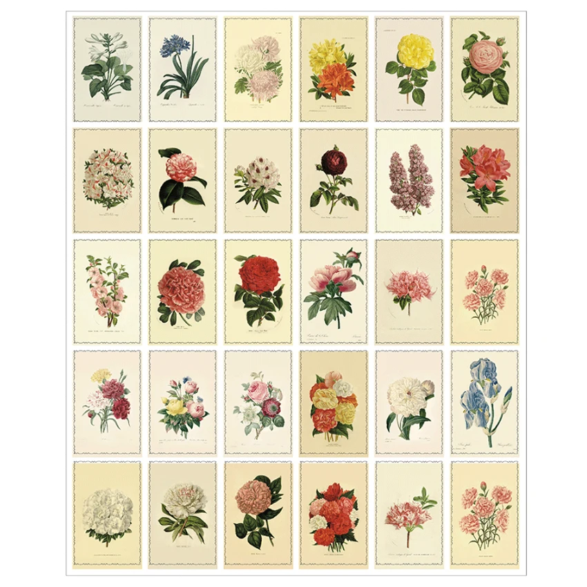  4packs/lot Vintage Plant And Flower Postcard Multi Busines Greeting Paper Card Message Label For In - 32964050826