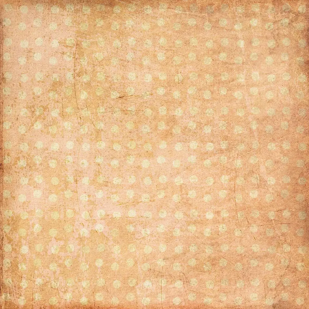 

10x10ft Vinyl Custom  Photography Backdrops Prop Vintage Photography Background JVT-770