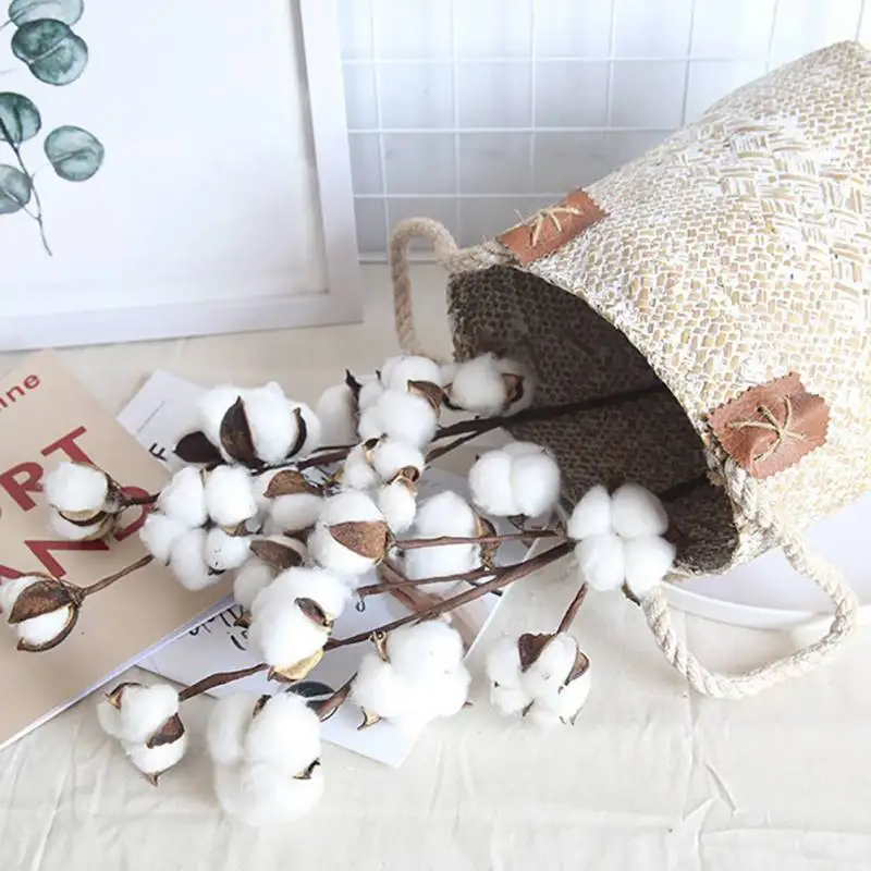 

Natural Valentine's Day Birthday Cotton Flower Branch Home Garden Dried Cotton Flower Arrangement Vase Display Flower Supplies