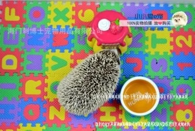 Паззл на основании мультфильмов пол декорация для террариума Хомяк Коврик