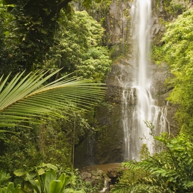 USA  Hawaii  Maui  Kipahulu  Wailua Falls surrounded by foliage; Hana Coast Poster Print (11 x 17)