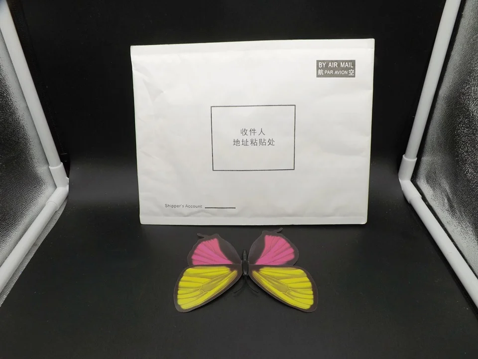 I236-Butterfly (13)