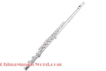 Gorąca Sprzedaż Instrument Muzyczny Flet (MDWDD-06) tanie i dobre opinie closed Posrebrzane Cupronickel Inne Hot Sale Musical Instrument Flute(MDWDD-06) Silver Plated