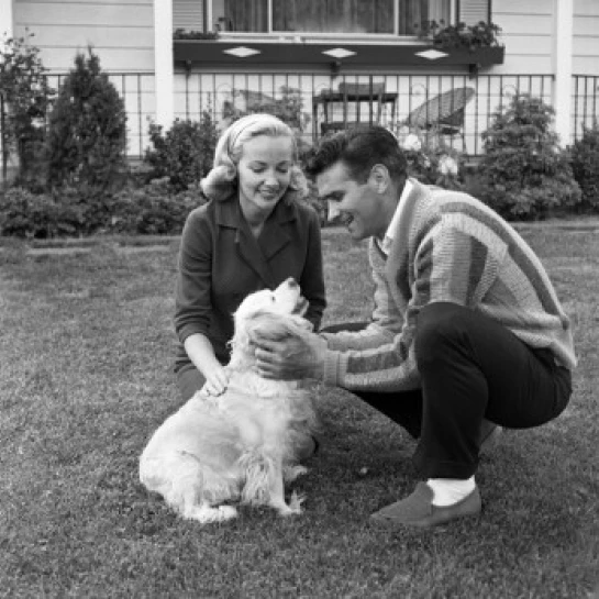 Couple playing with dog Poster Print (24 x 36)