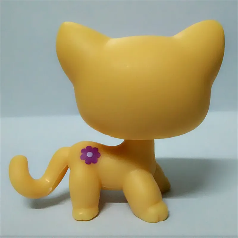 26 - 