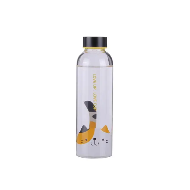 upstyle glass water bottle