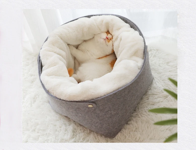 donut cat bed