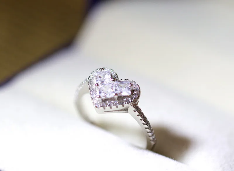 4427648400_850876792