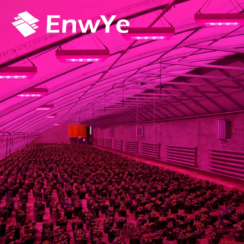 

EnwYe Plant growth lamp 600W 1000W 1200W LED Grow light Full Spectrum for Indoor Greenhouse grow tent LED Plants grow light