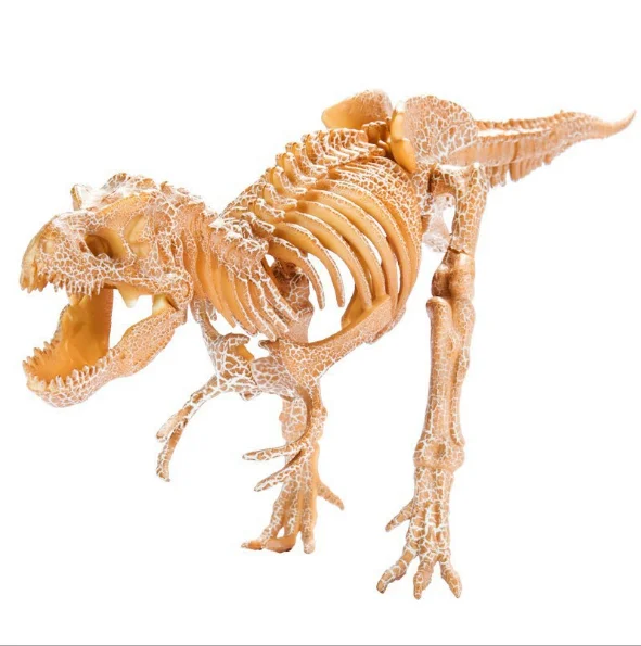 

50cm Large dinosaur fossil archaeological excavation toy Trolly archaeological dinosaur Triceratops skeleton Dig dinosaur toys