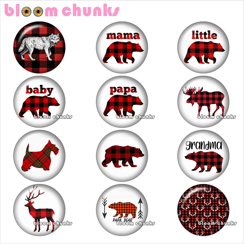 Плед mama papa grandma little bear Круглый Фото стеклянный кабошон демонстрационная плоская задняя часть делая Результаты 12 мм/18 мм/20 мм/25 мм TL1249 - Цвет: 10pcs Mixed Set