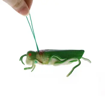 

HBB 1PC Kids Novelty Toys Halloween Insects Locust Model Figures Kids Children Developmental Science Toy