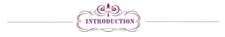 introduction