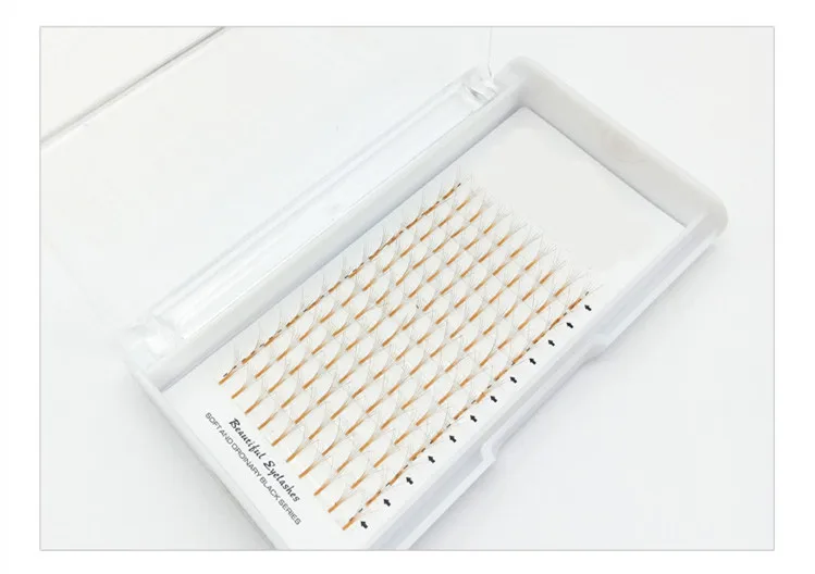 10528518914_841810341