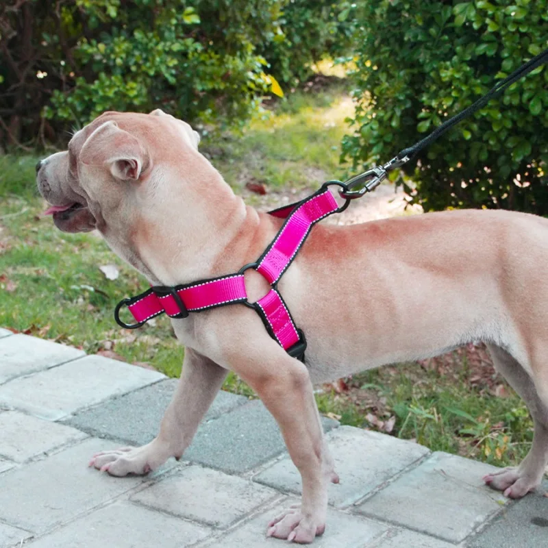 pull strap dog