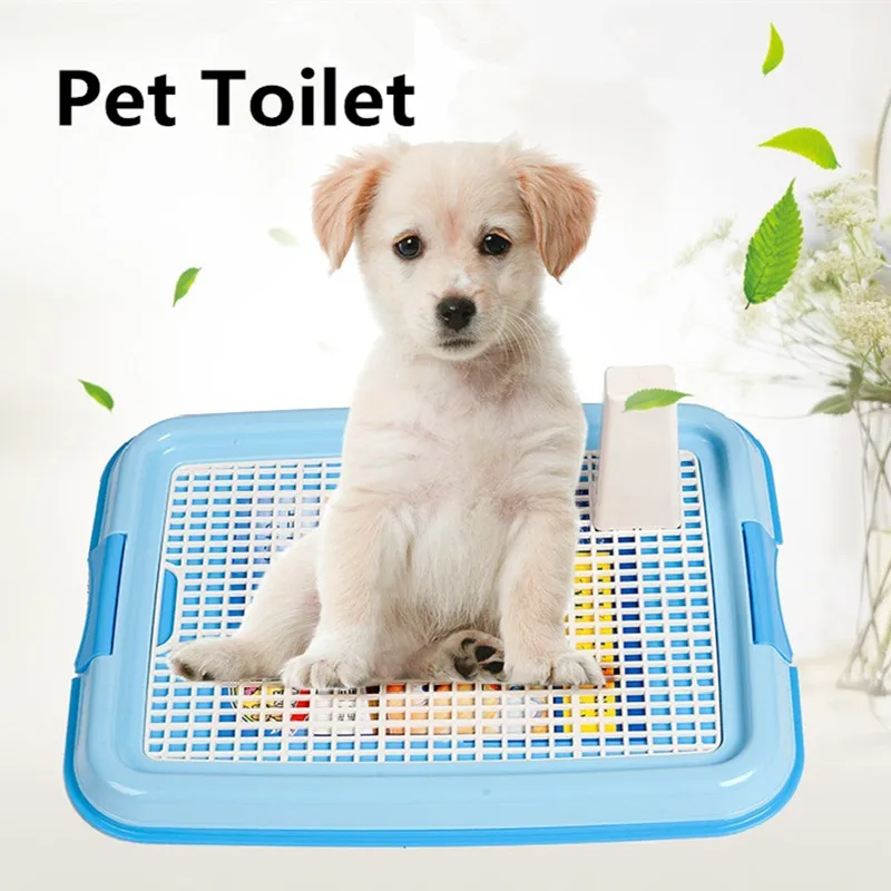 How Do You Train A Dog To Poop In The Toilet