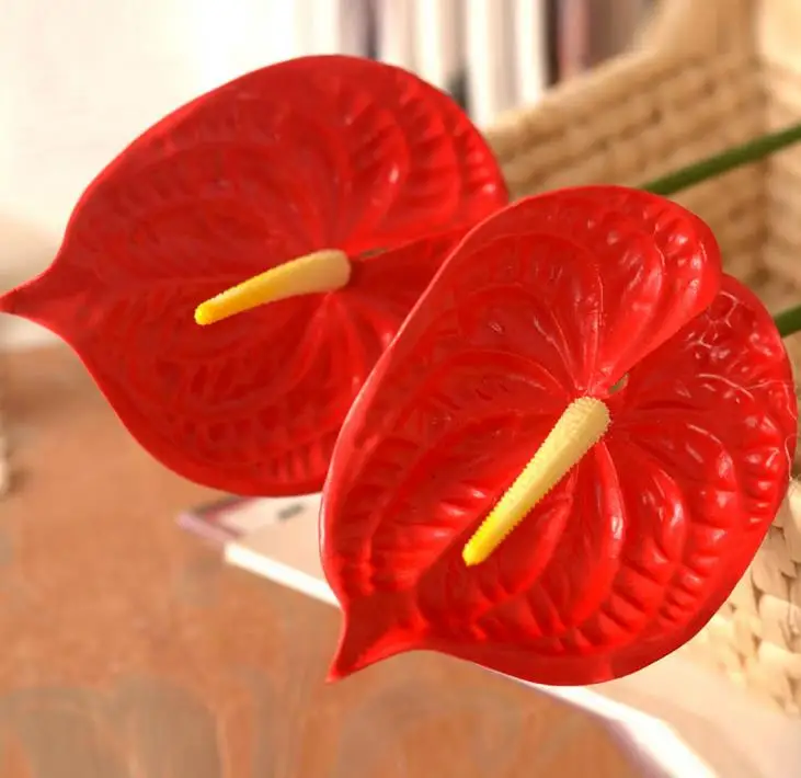 5pcs 72cm 28'' Anthurium Green Anthurium Flowers Indoor Green Plants Balcony Office Desktop Artificial Flowers Home Decor 5pcs 72cm 28'' Anthurium Green Anthurium Flowers Indoor Green Plants Balcony Office Desktop Artificial Flowers Home Decor