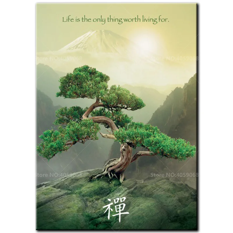 Zen__Strom___ivo_58864350e4037
