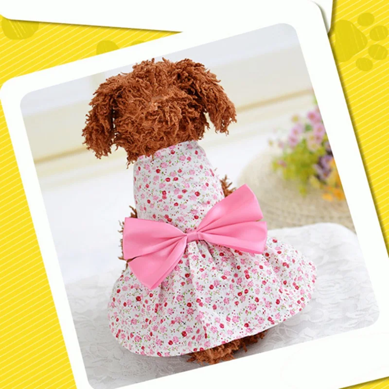 RC0126P (2)